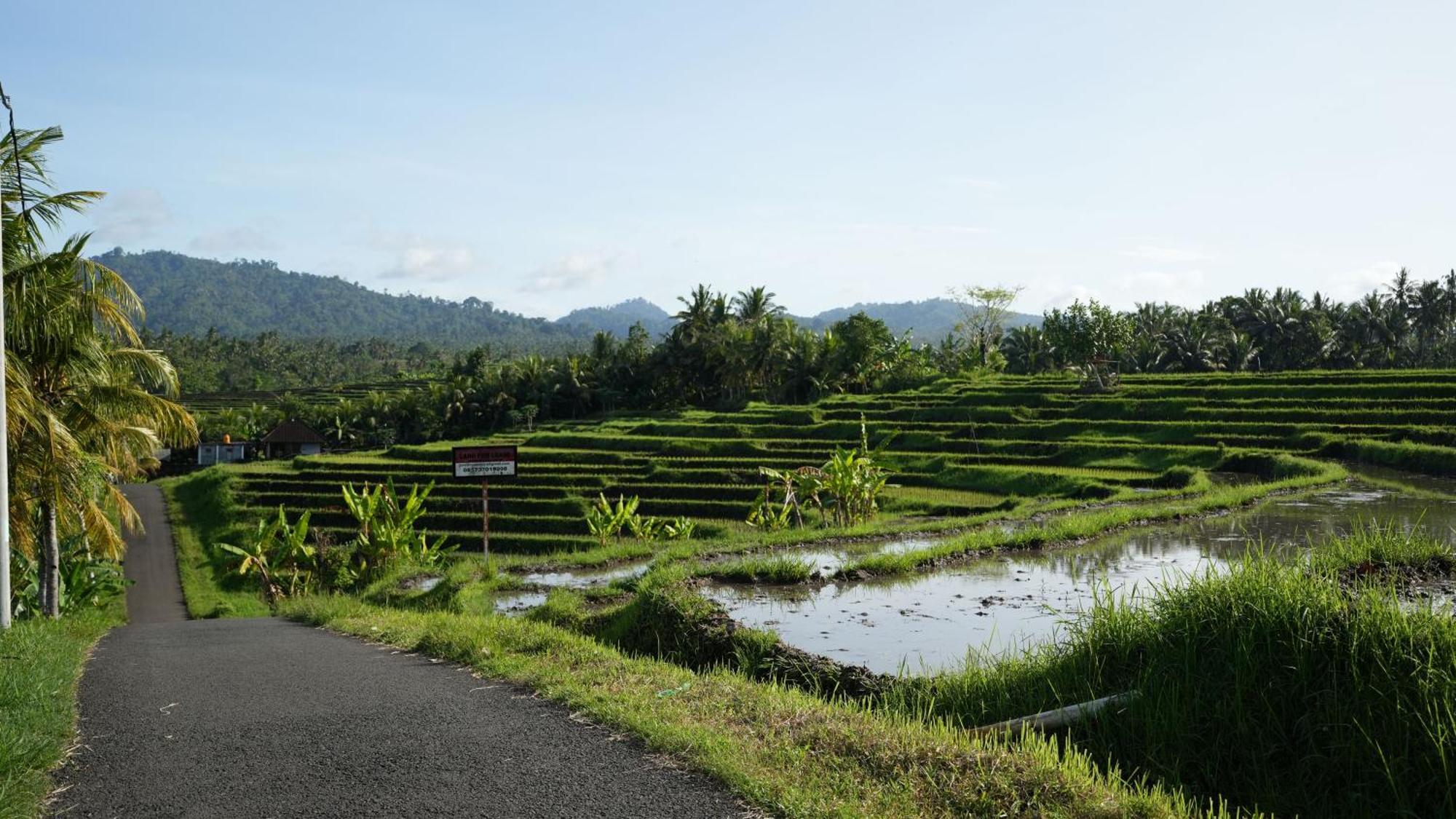 Kelapa Retreat & Spa Pulukan Exterior photo
